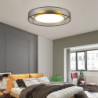 led loftslampe 40/50cm cirkeldesign indbygningslamper metal kunstnerisk stil moderne stil stilfuld malet finish førte moderne